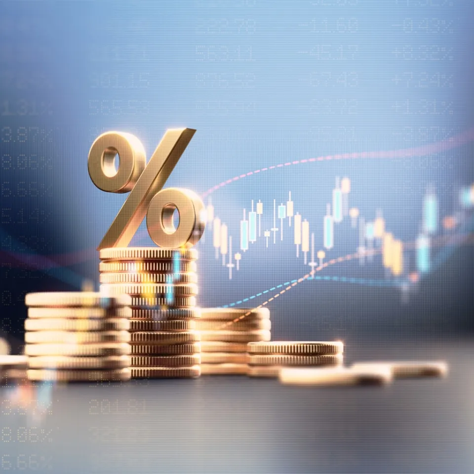global finance a brief introduction hpc219 3
