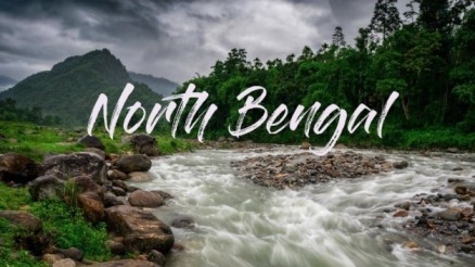 Discover North Bengal’s Forests & Wildlife Wonders