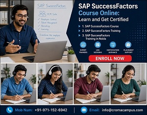 Advanced Guidelines for SAP SuccessFactors Professional