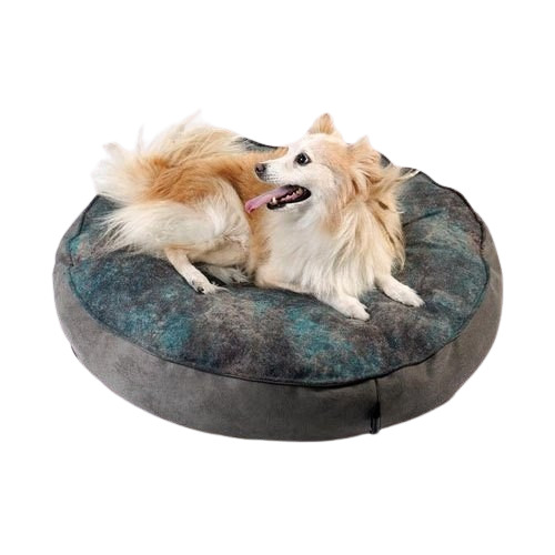 Choosing the Right Dog Beds to Buy Online