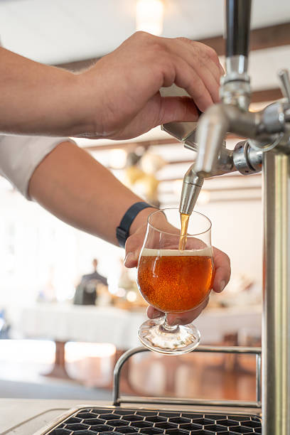 Beer Dispensers Market Business Opportunities