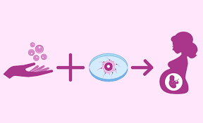 How Does an ART Bank Help in Fertility Preservation?