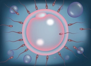 What Is the Future of Assisted Reproductive Technology?